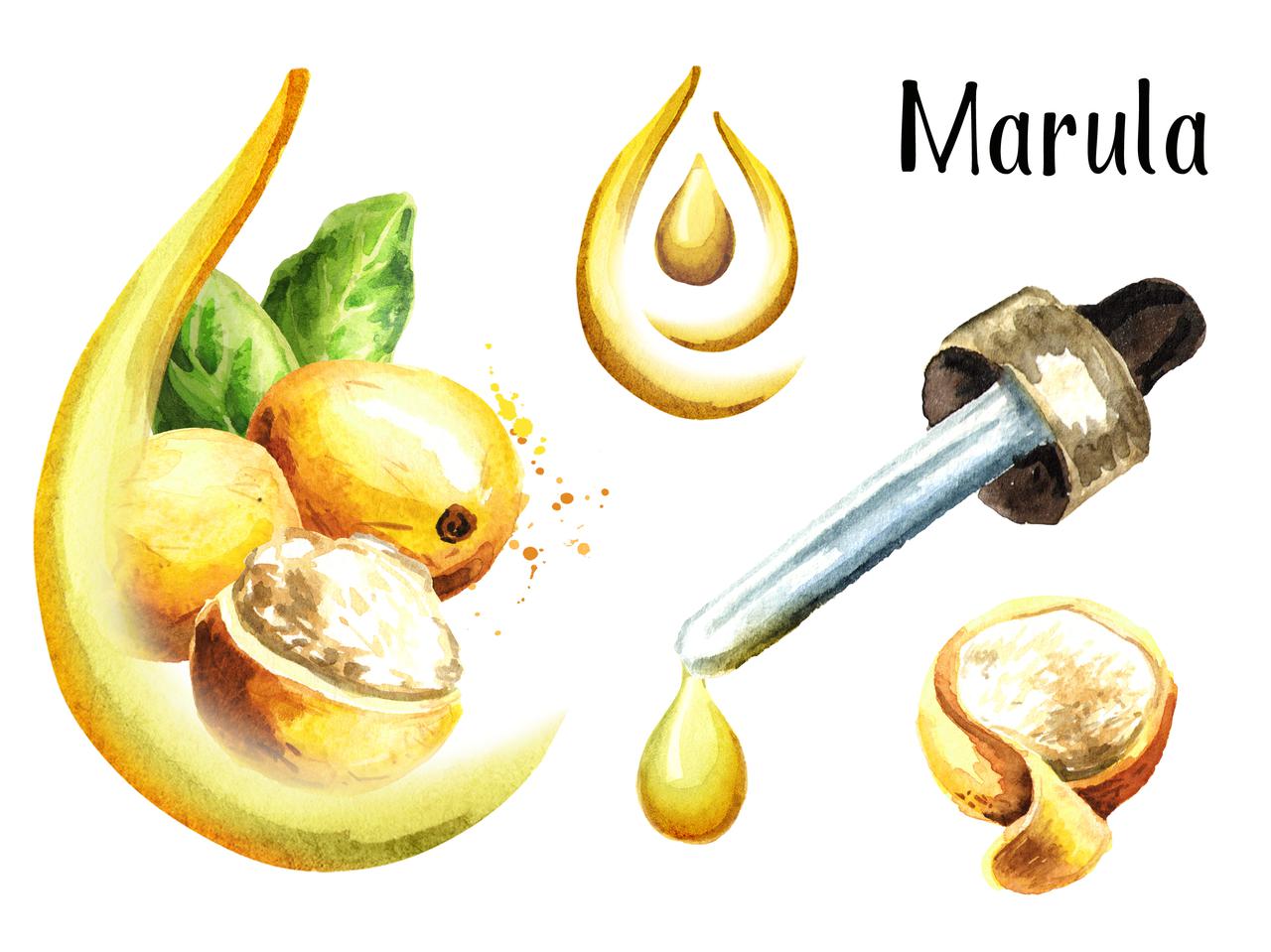 肌がよみがえる美容オイル!? セレブも注目する「マルラオイル」とは