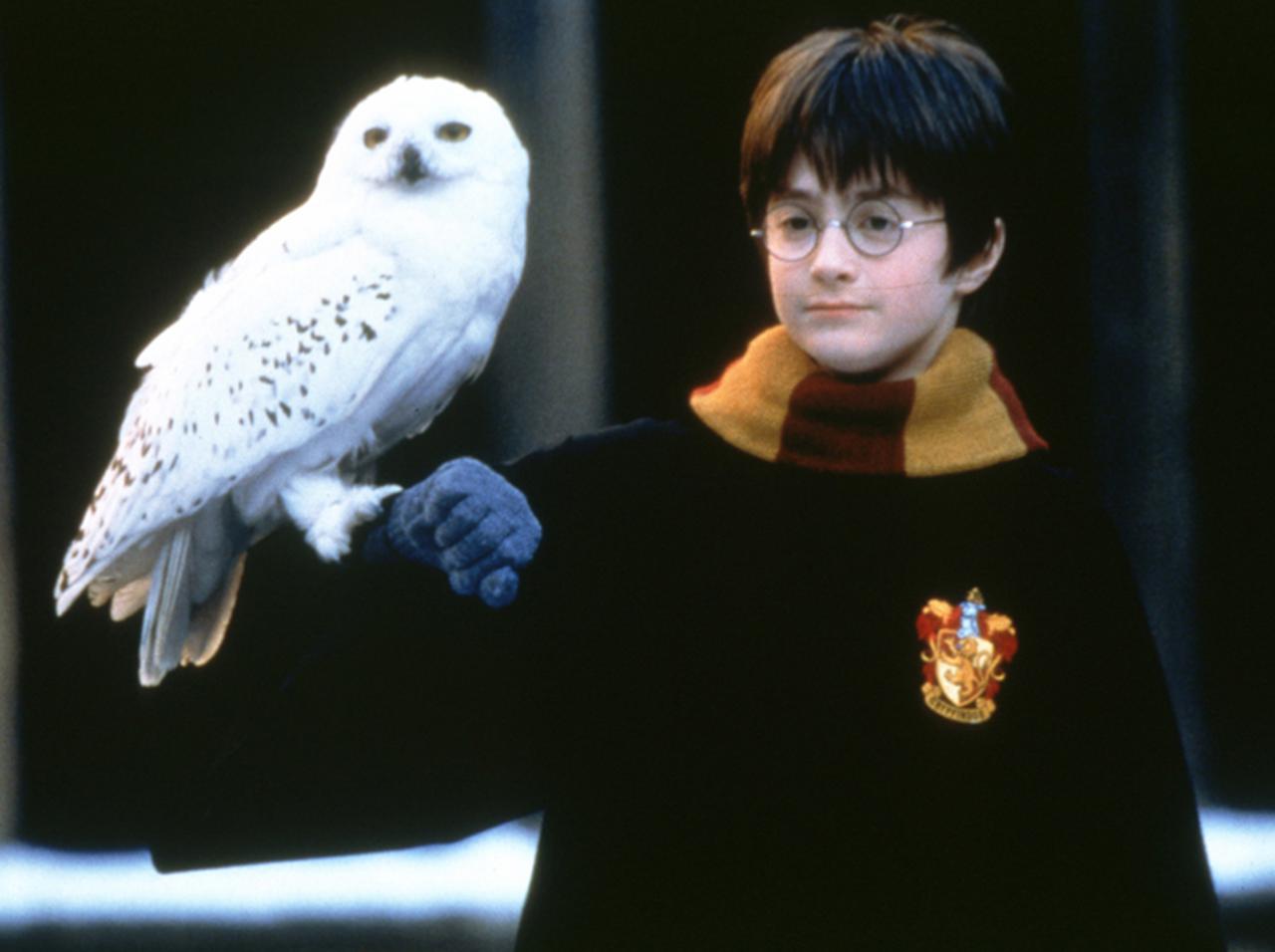 『ハリー・ポッター』第1巻をダニエル・ラドクリフが朗読!豪華キャストも続々