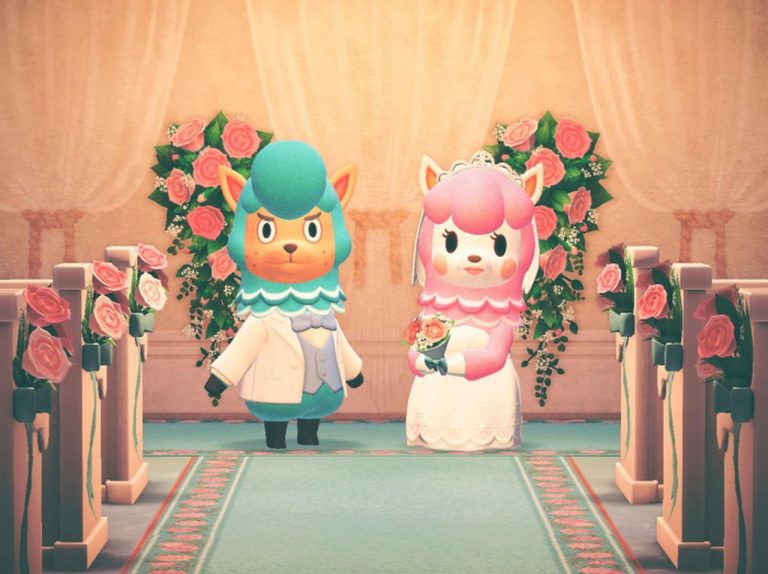 『あつまれ どうぶつの森』を使って「妻の機嫌をとる方法」があっぱれ