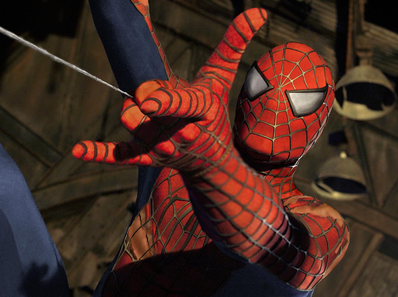 スパイダーマンになりたい!子供3人がクモで「あること」をして救急搬送される