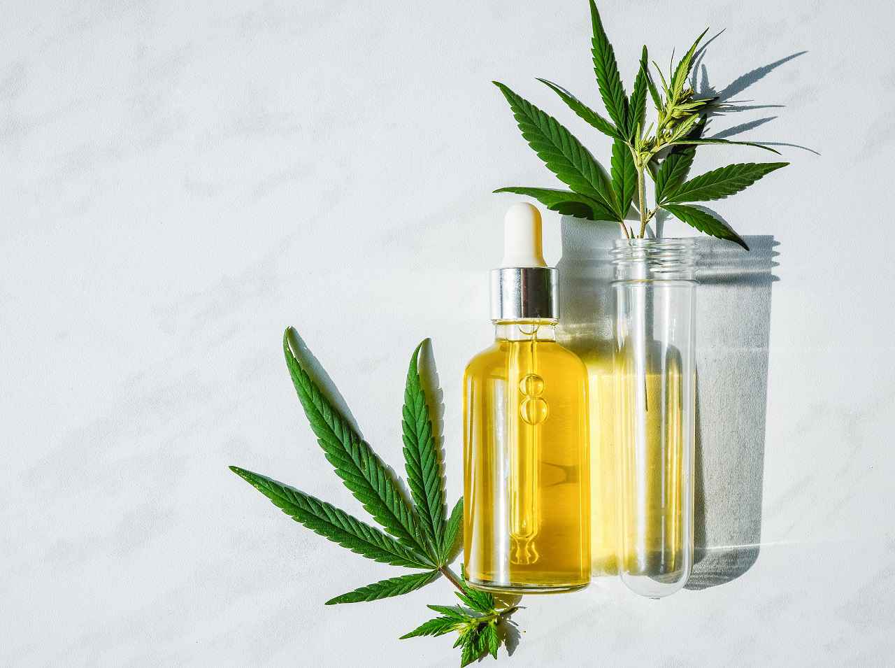 「CBDスキンケア」のトレンドが本格化！専門家のイチオシアイテムを紹介