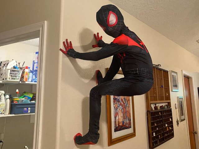 どうやって？スパイダーマン姿で壁に張りつく少年、ソニーも思わず反応