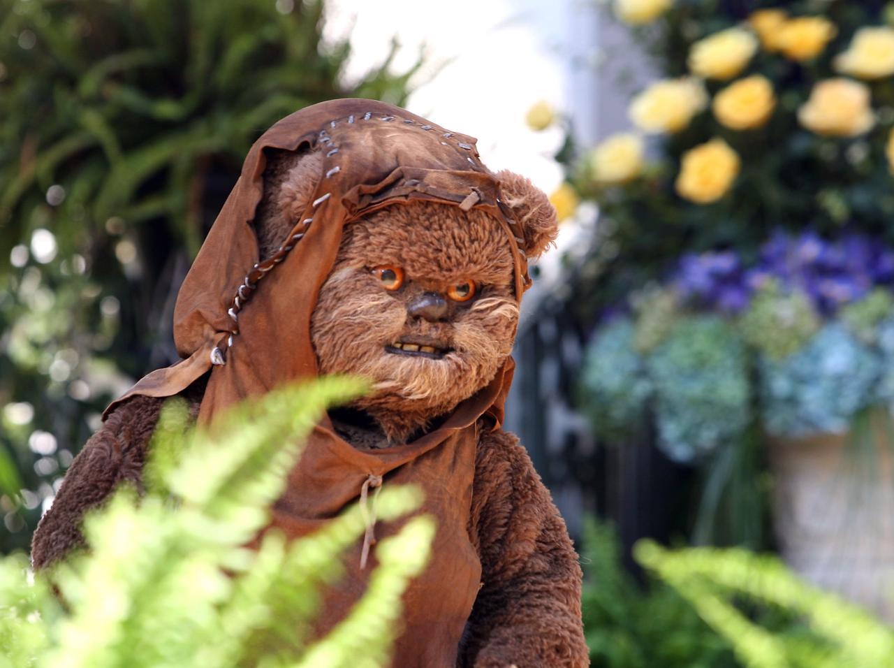 『スター・ウォーズ』のイウォーク、「毛がない版」がめちゃくちゃ怖い