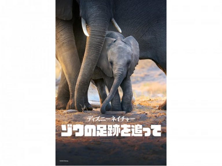 『ディズニーネイチャー/ゾウの足跡を追って』ナレーターを務めるメーガン妃のインタビュー映像が公開