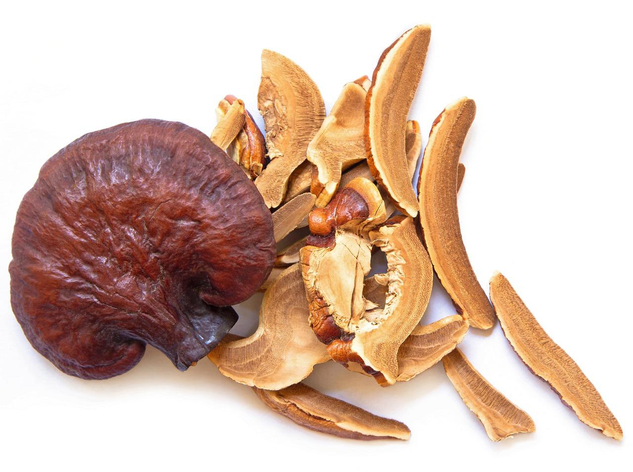 新スキンケアトレンドはキノコ!?海外で話題のキノコスキンケアに注目