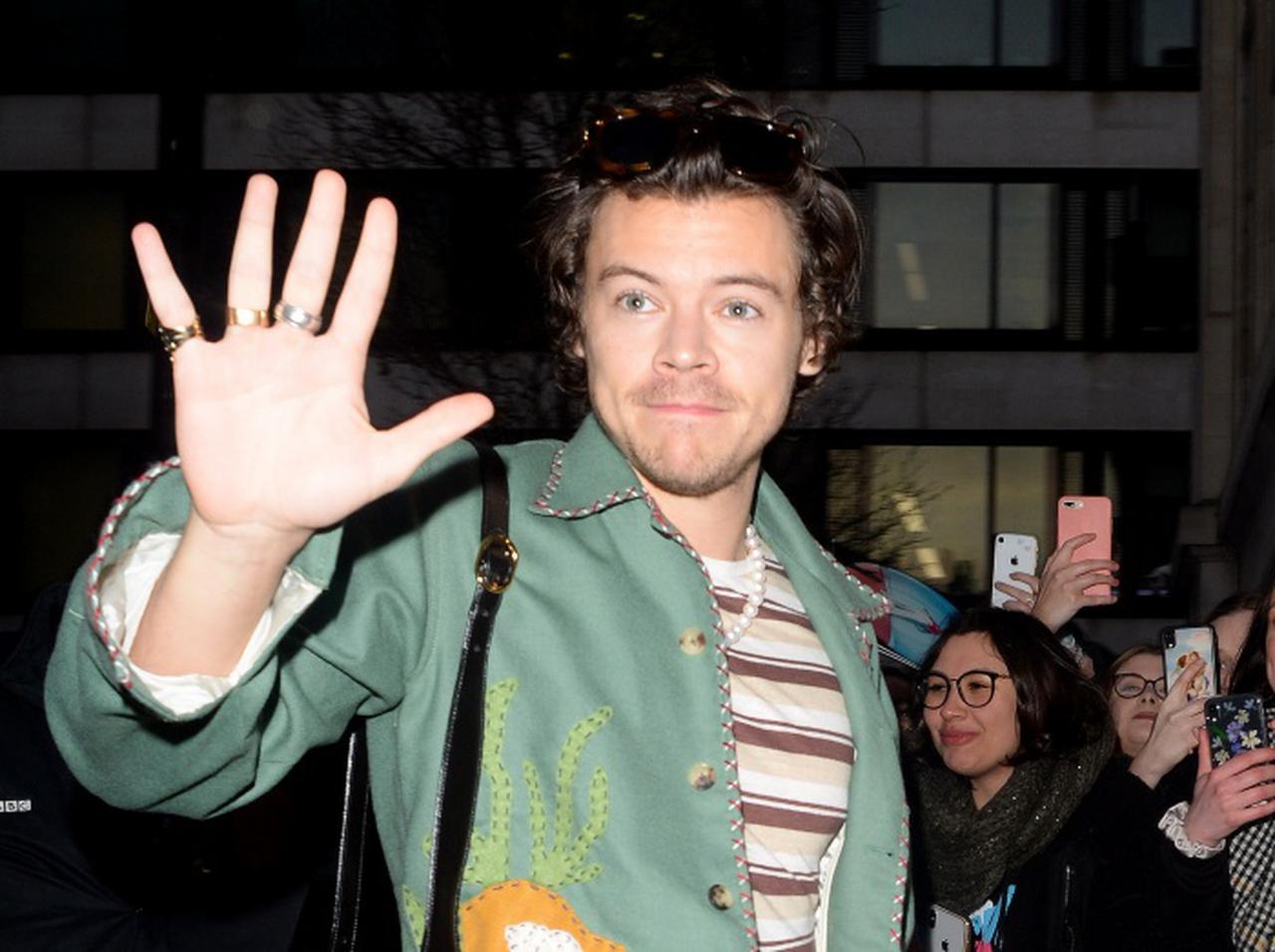 ハリー・スタイルズ、ファンとの写真撮影で「ある事をしなかった」ことが称賛される