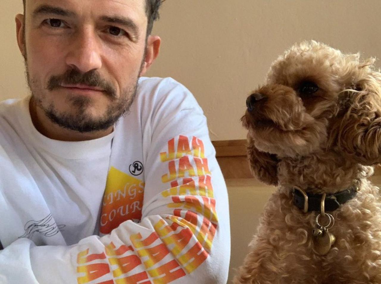 オーランド・ブルーム、行方不明だった愛犬が天国へ…死を悼んでタトゥーを入れる