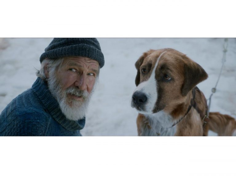 『野性の呼び声』ブルーレイ＆DVD発売開始！主演ハリソン・フォードの秘蔵インタビュー映像も解禁
