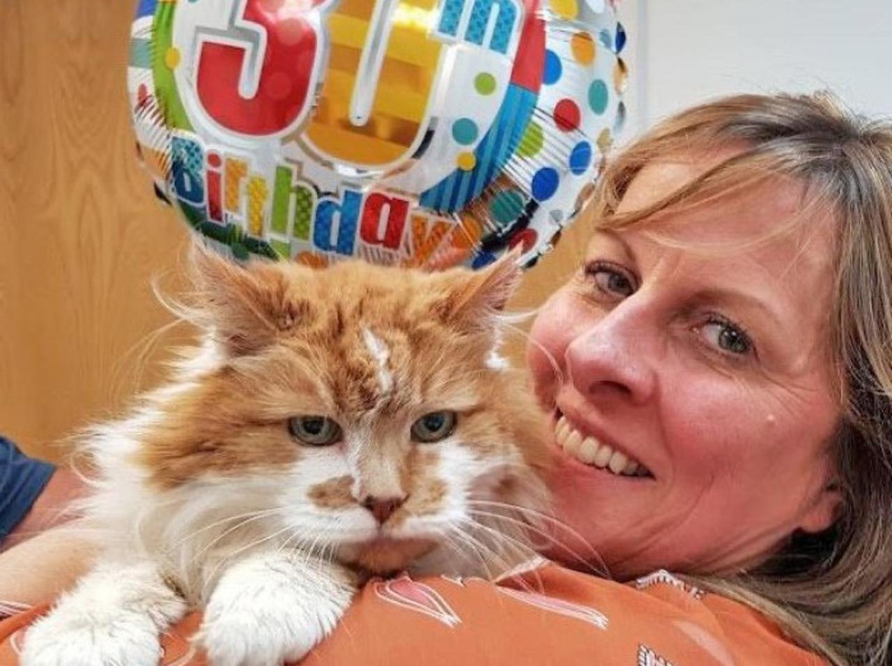 世界最高齢とされたネコが31歳で亡くなったことが明らかに、人間の年齢でおよそ150歳