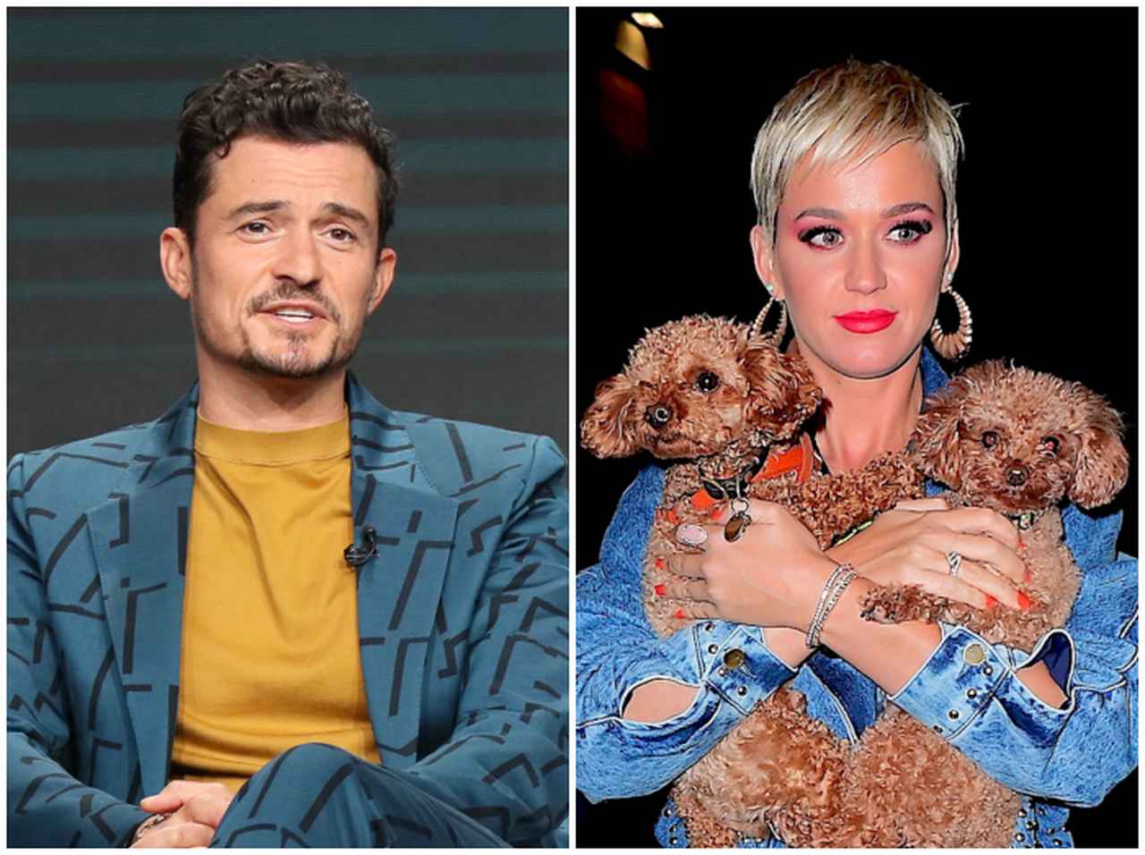 オーランド・ブルーム、行方不明の愛犬マイティはケイティ・ペリーから贈られた犬だった