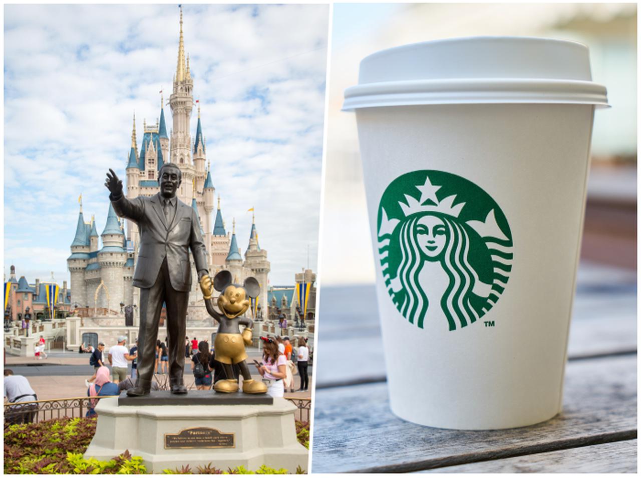 ディズニーのスタバ限定、ただの抹茶じゃない「抹茶ドリンク」がなかなか攻めてる