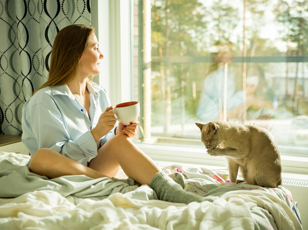 世界のどこかに居る誰かと「窓からの景色」を交換 新感覚サイトが癒しの極み