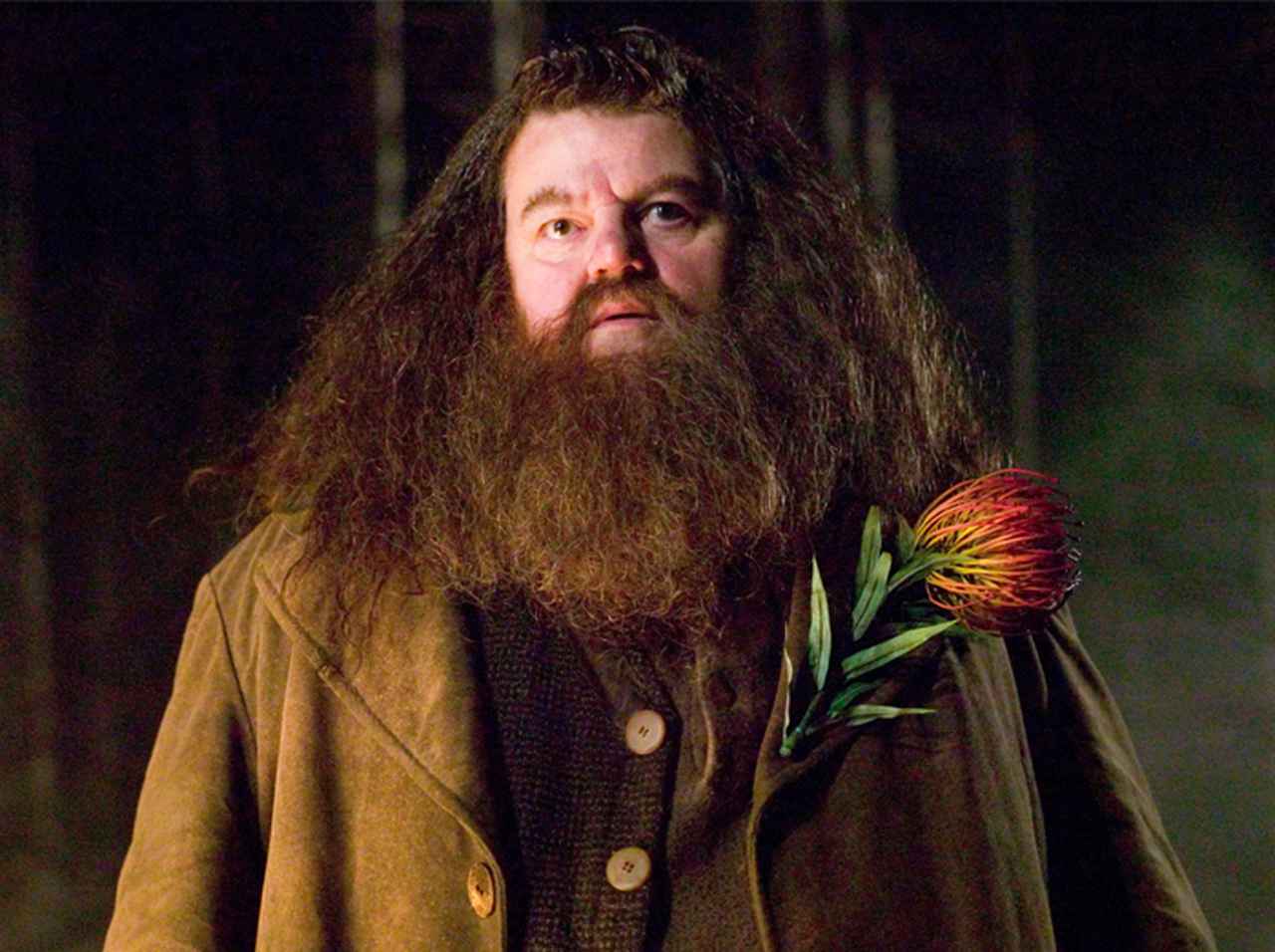 『ハリポタ』ハグリッド役、トランスフォビア発言で「死亡説勃発」の作者を擁護