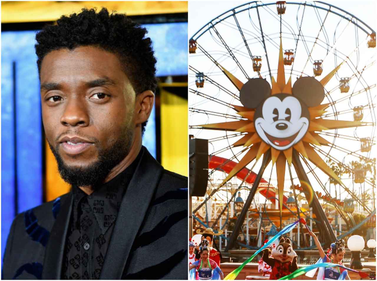 ディズニーに『ブラックパンサー』新エリアを!チャドウィックの訃報受け大物俳優が懇願
