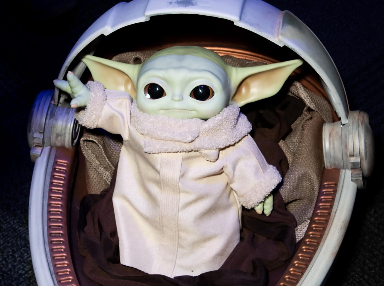 「ベビーヨーダ」な子ネコがカリフォルニア火災から救出!ホッと安堵の声