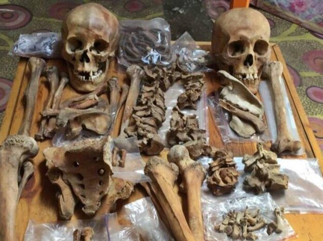 『ムーラン』は存在した⁉︎ 映画と同じ時代の墓から女騎馬戦士の骨を発見！