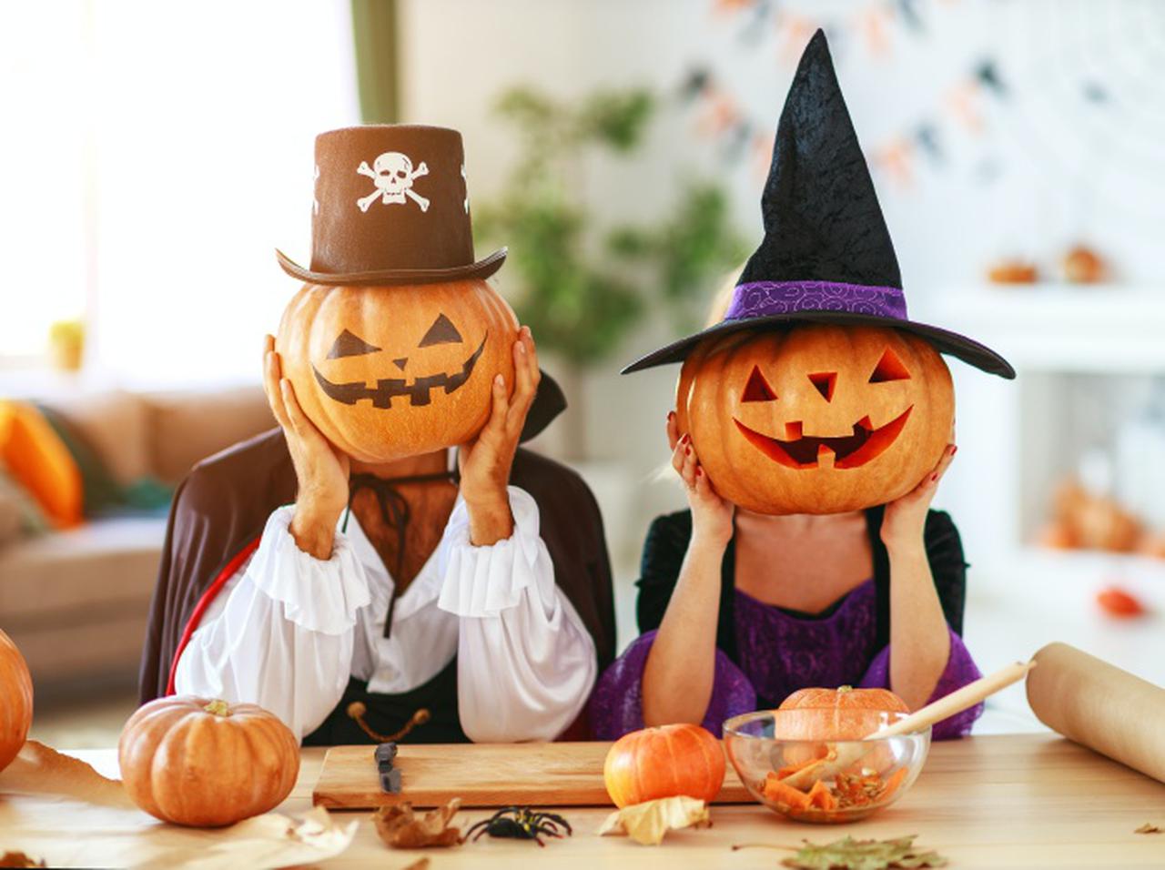 ハロウィンに見たい!ホラーなのに怖くないホラーコメディ映画をご紹介!