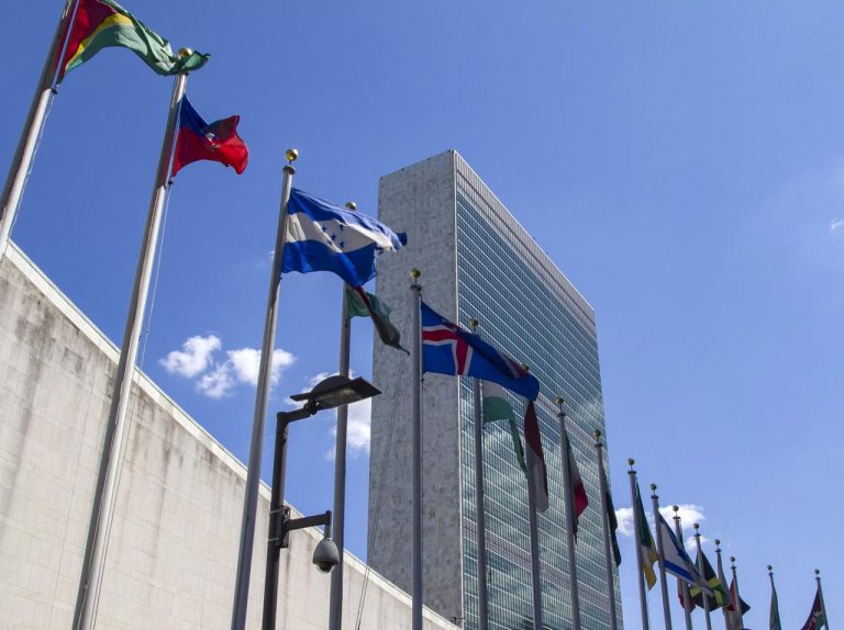 国連って実際何してるの?10月24日は国連デー