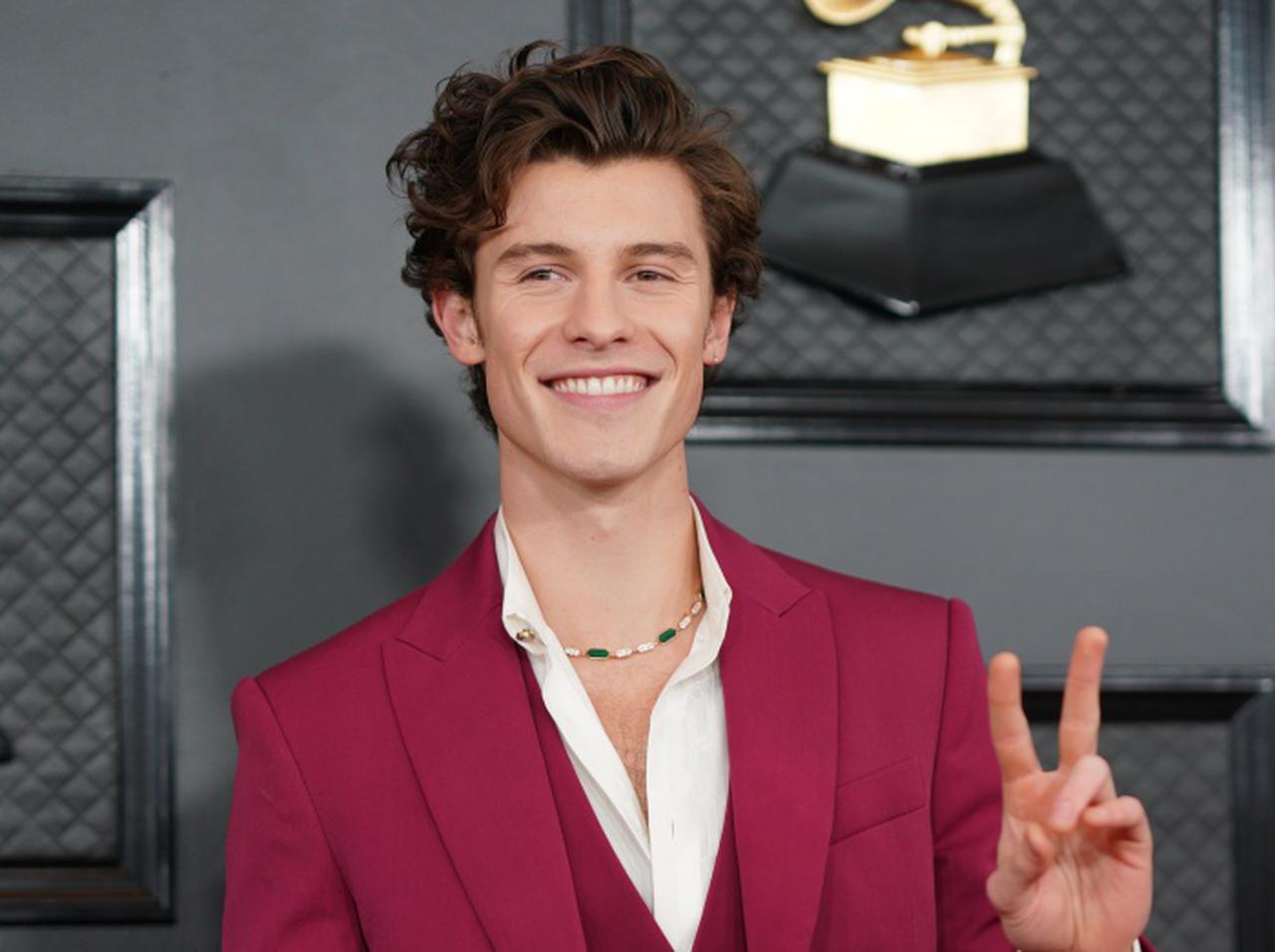 男女ウケ抜群!ショーン・メンデスは「モロッカンオイル」で“うるツヤ髪”を維持