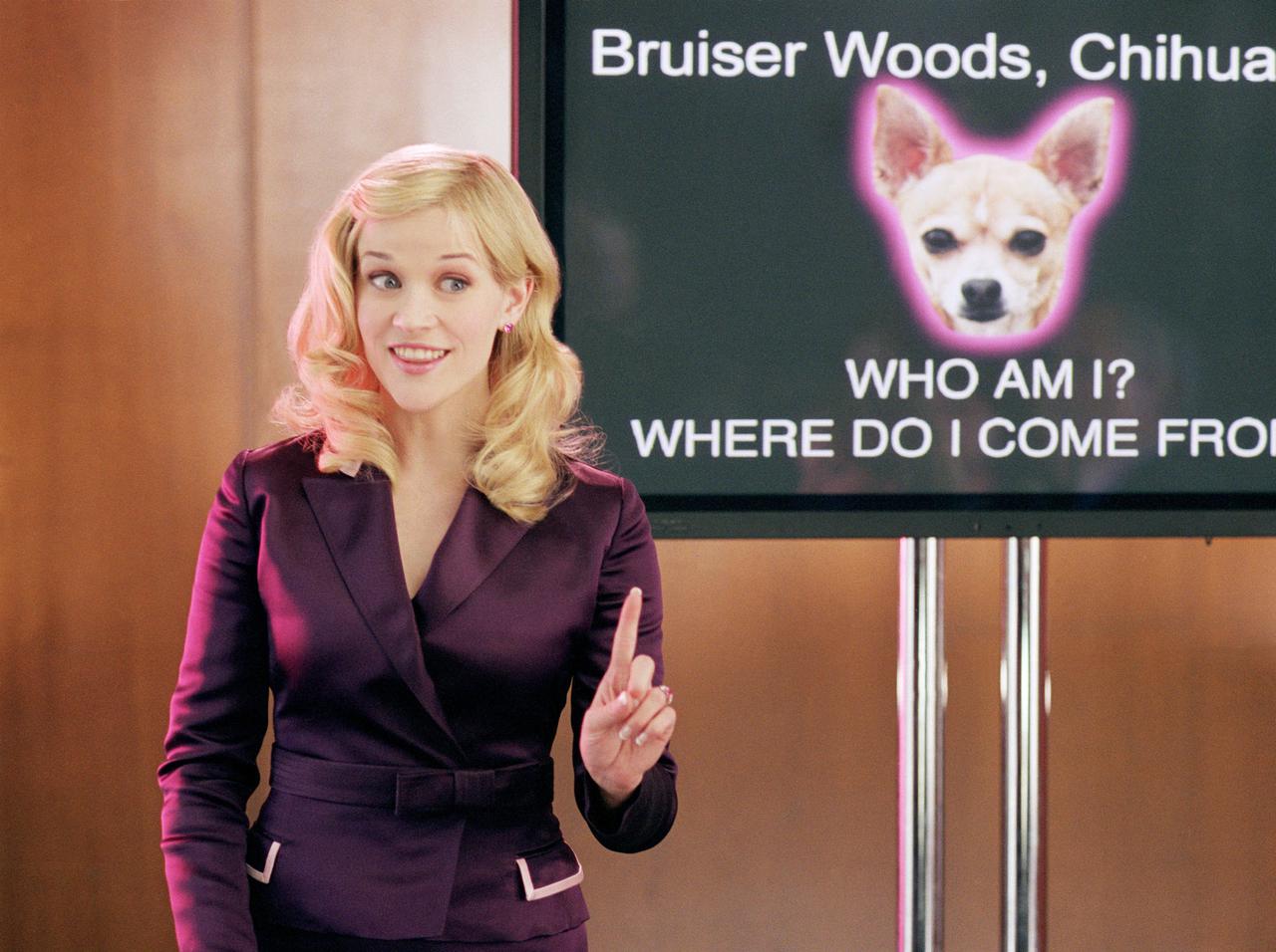 『キューティ・ブロンド3』の公開月が決定！エルとの再会がいよいよ