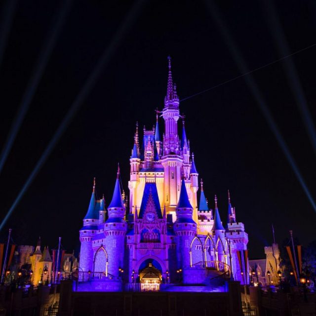 ディズニーランドに「アレ」は持ち込んじゃダメ！見つかったら即退場