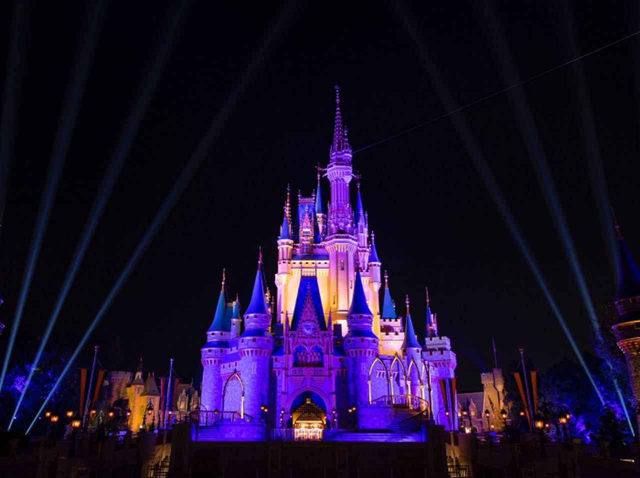 ディズニーランドに「アレ」は持ち込んじゃダメ！見つかったら即退場