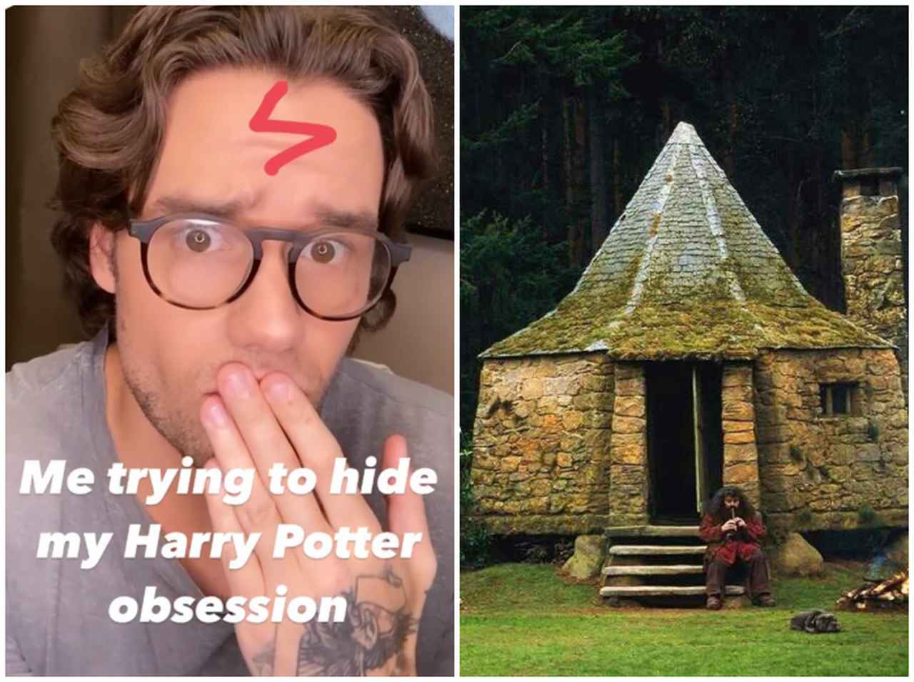 『ハリポタ』オタクのリアム・ペイン、好きが高じて自宅の庭に「建てたもの」がガチすぎる