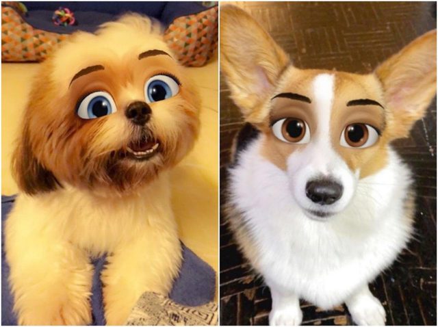 愛犬が「ディズニー犬」に変身！人気のSNSフィルターをペットに使った結果がミラクル