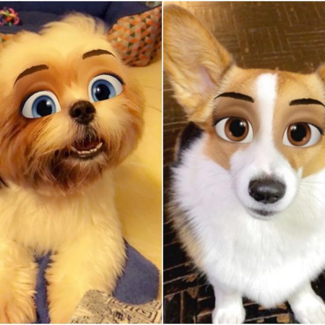 愛犬が「ディズニー犬」に変身！人気のSNSフィルターをペットに使った結果がミラクル