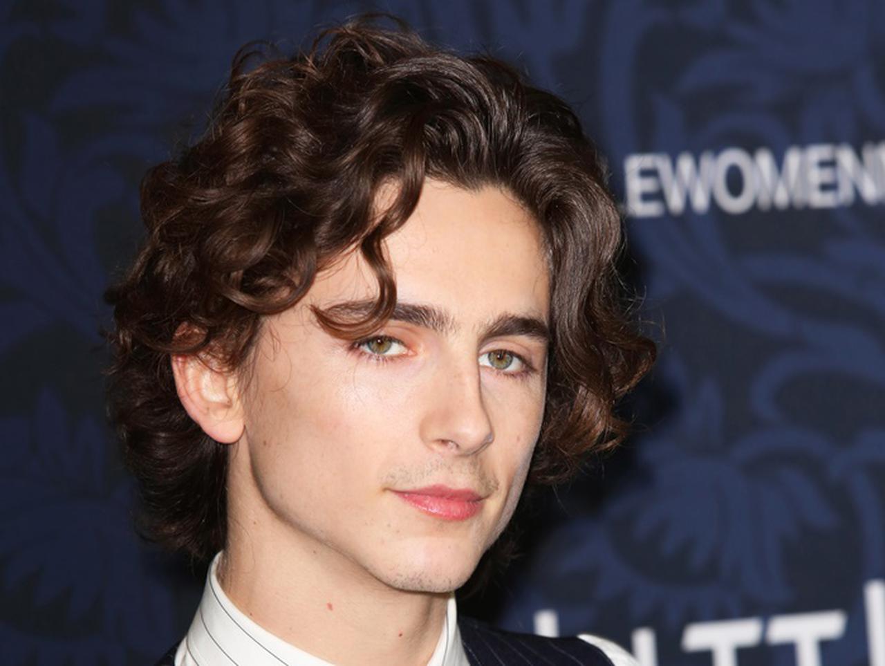 ティモシー・シャラメ主演のボブ・ディランの伝記映画が無期限延期に