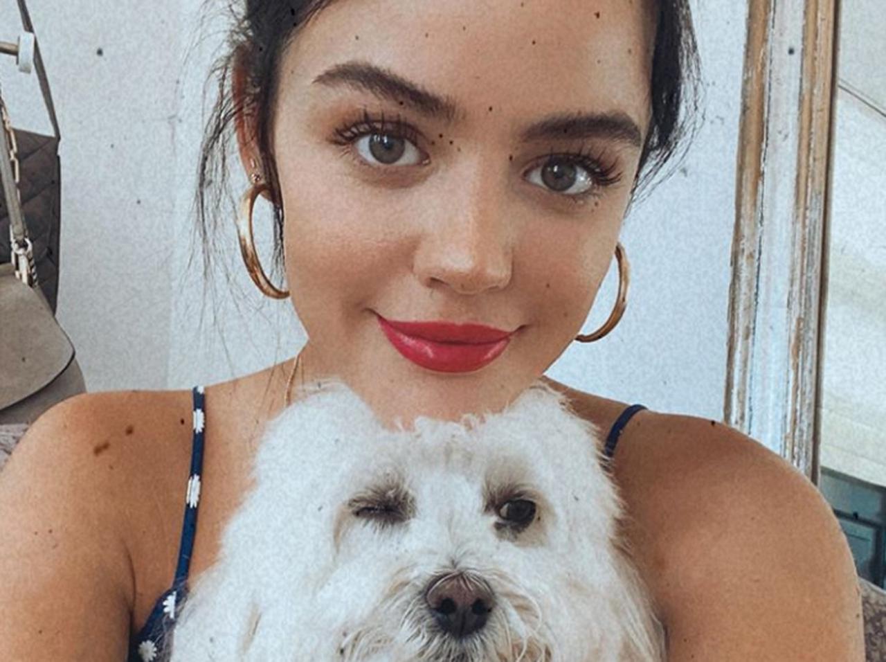 DVシェルターにペットが入れない、ルーシー・ヘイルがサポートを呼びかけ