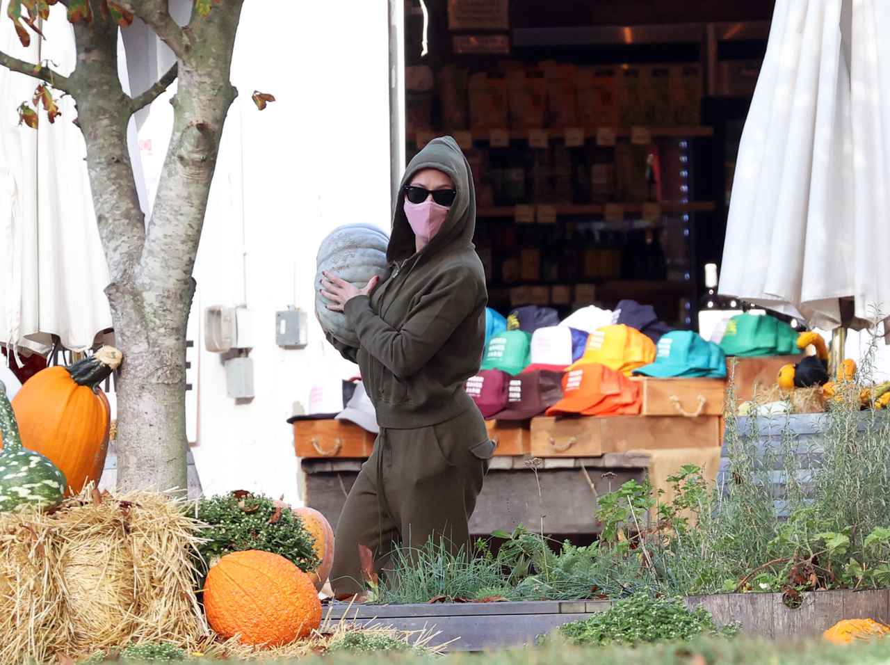 ハロウィンの準備は順調？スカーレット・ヨハンソンが巨大カボチャを調達