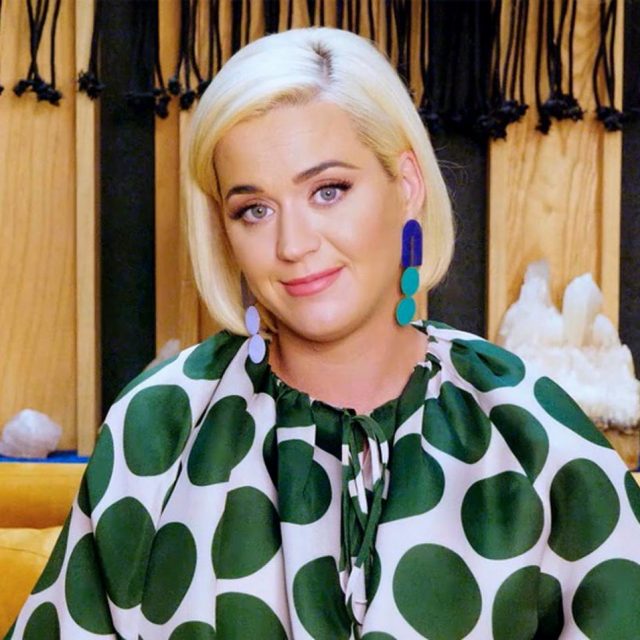 ケイティ・ペリー、政治観が違う家族に「電話して」とツイート→賛否両論で大炎上