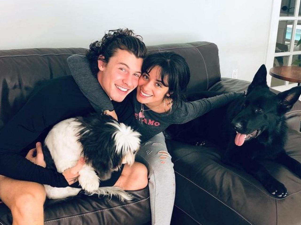 ショーン・メンデス&カミラ・カベロ、Netflixのドキュメンタリー番組で明かされた「3つの事実」