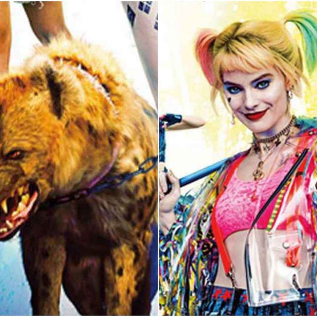 『ハーレイ・クインの華麗なる覚醒』のハイエナ、本物の犬が演じている！