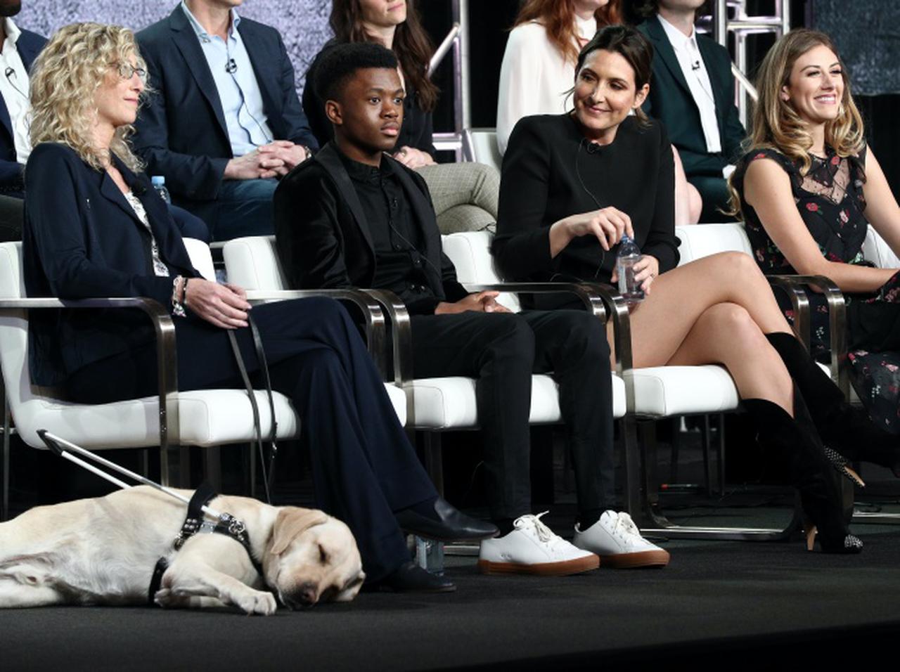 相棒の盲導犬が可愛すぎると評判！盲目の女性が親友の死の謎に迫る『イン・ザ・ダーク』が日本配信！