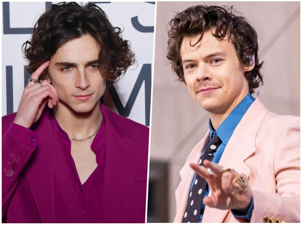 ティモシー・シャラメが「ハリー・スタイルズに扮した姿」が尊い