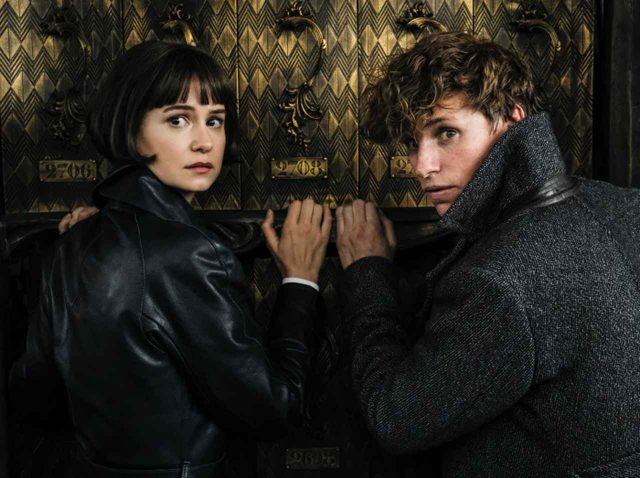 『ファンタビ』ティナ役、最新作の「見どころ」を“ネタバレにならない範囲”で明かす