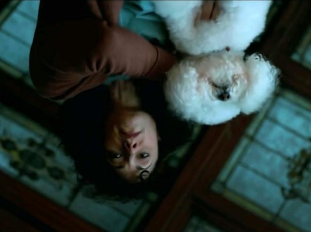 『羊たちの沈黙』の続編ドラマ『クラリス』のフル予告が解禁！映画に登場した場所や、あのプードルがお目見え