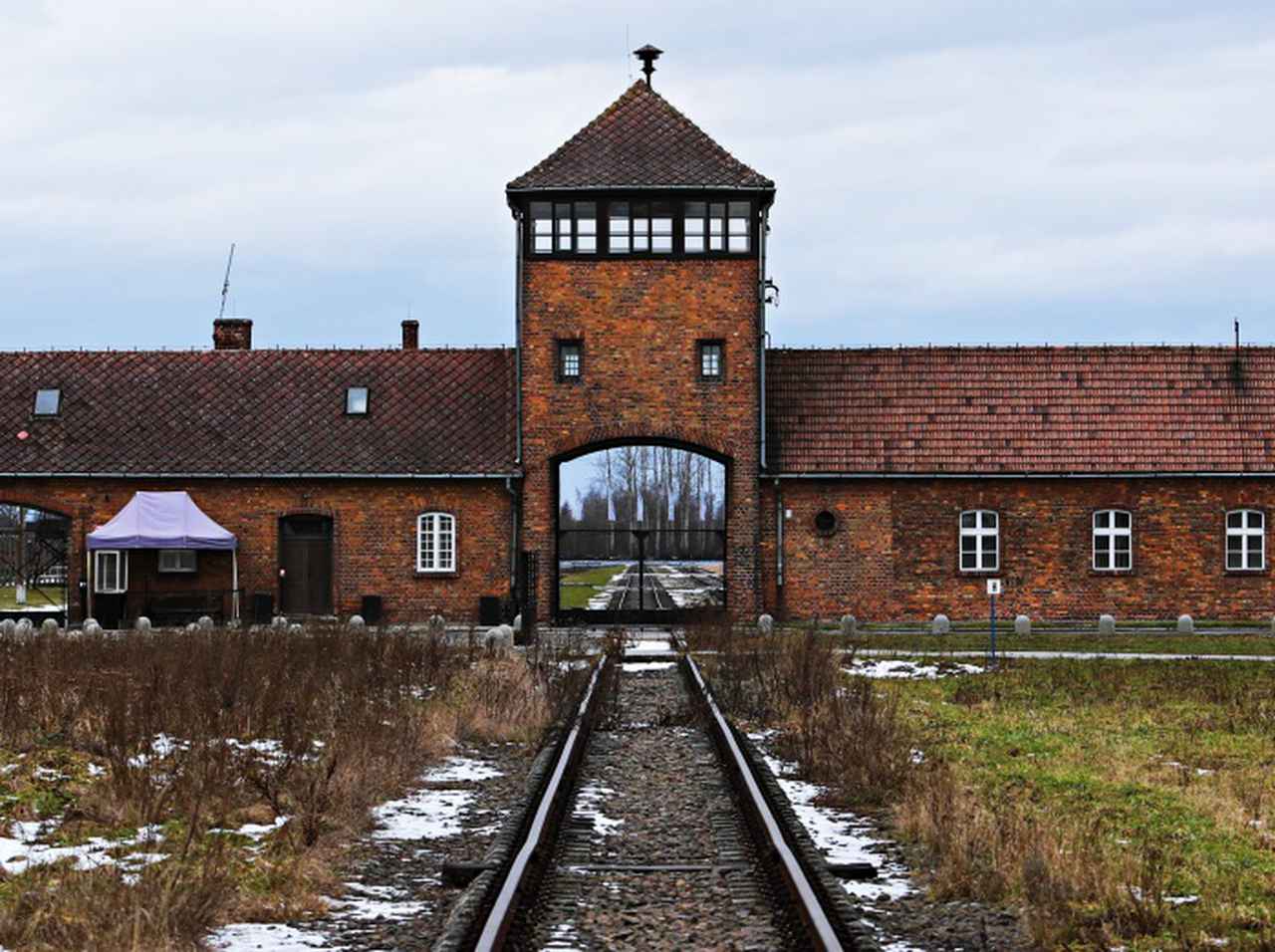 ホロコースト犠牲者を想起する国際デーに、ホロコーストがテーマの映画を7作品ご紹介