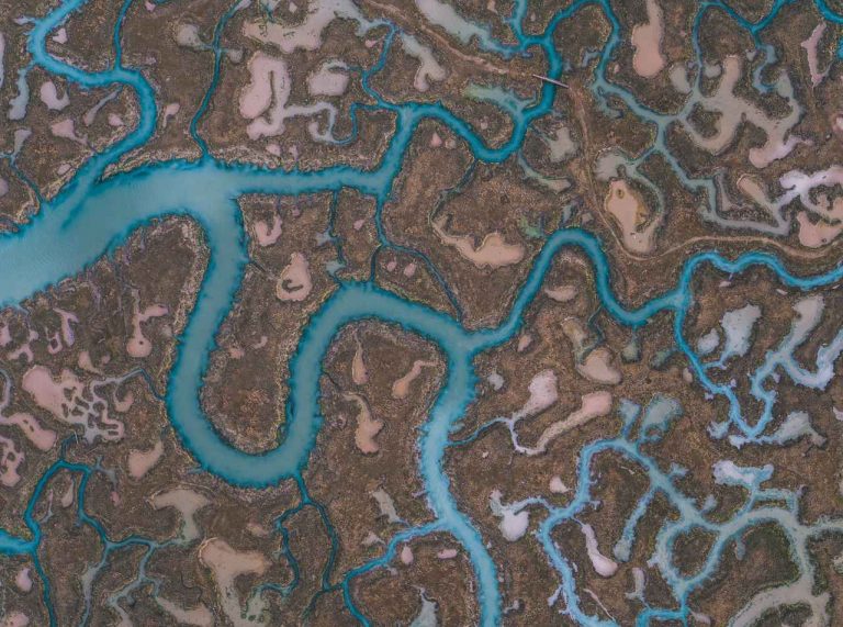 【SDGs】世界湿地の日、森林の3倍のスピードで失われている湿地はなぜ重要?