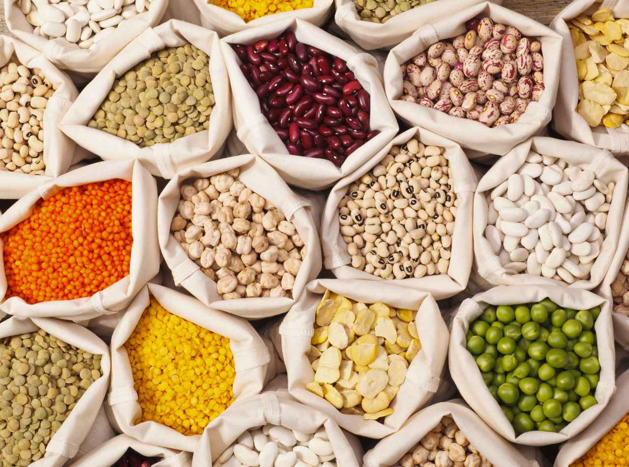 人間・動物・環境のために「世界マメの日」はなぜ重要?【SDGs】