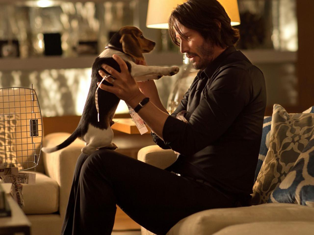 『ジョン・ウィック』で殺された犬、改名して新しい生活を送っていた