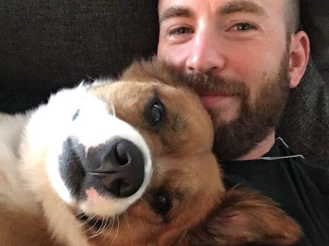 クリス・エヴァンス、手術を頑張った愛犬にやってあげたことがとっても優しい