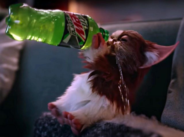 『グレムリン』ギズモとビリーが30年ぶりに再会！ベイビー・ヨーダより可愛いとメロメロ