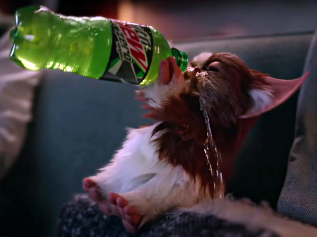 『グレムリン』ギズモとビリーが30年ぶりに再会!ベイビー・ヨーダより可愛いとメロメロ