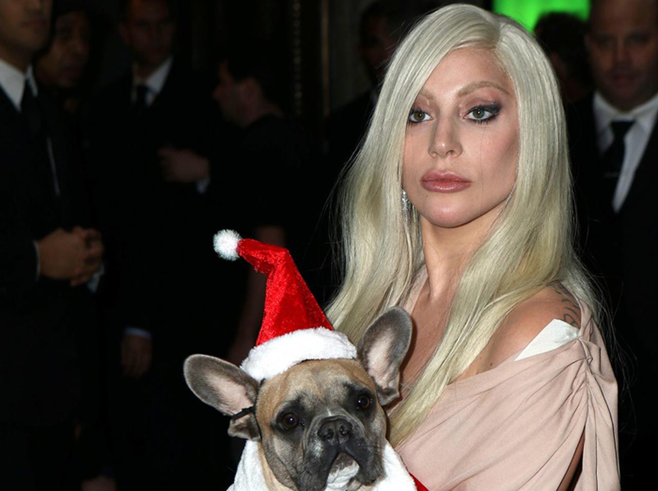 レディー・ガガの愛犬誘拐事件で銃撃されたドッグウォーカー、当時の状況を明かす