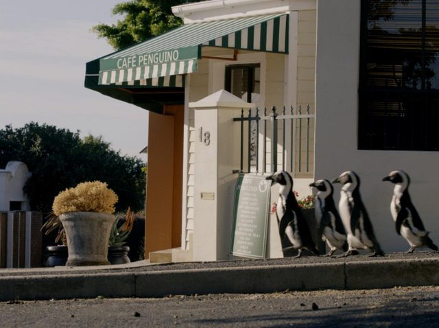 ロックダウンで自然はこう変わった！アースデイに見たいドキュメンタリー『その年、地球が変わった』がオススメ