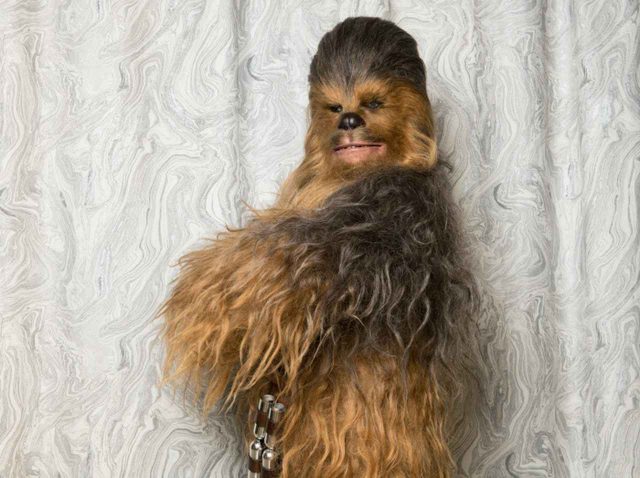 『スター・ウォーズ』チューバッカが服を着ていないことへの懸念から「驚きの提案」が出ていた