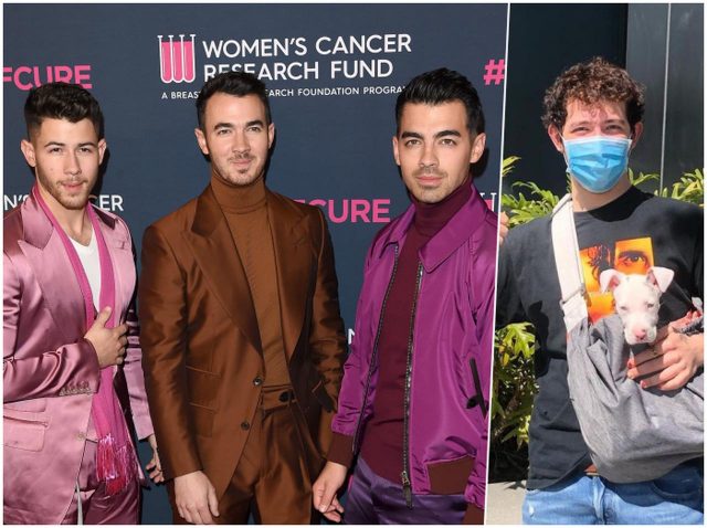 ジョー・ジョナス、ジョナス家4男を「おまけのジョナス」と呼んでいたことを謝罪